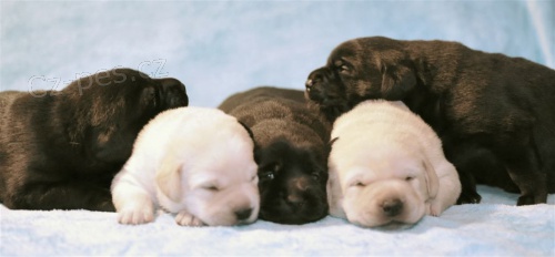 PROD�M �T��ATA