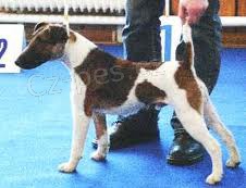 Zad�m �t��ata odb�r polovina �nora 2012