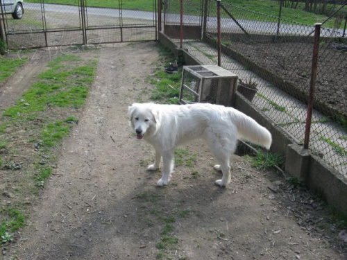 �t�n� Slovensk� �uva�