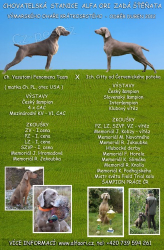 V�marsk� oha� kr�tkosrst� - �t��ata s PP