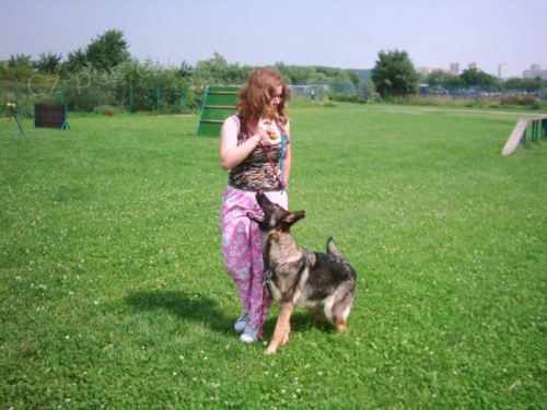 Nab�z�m ven�en�,v�cvik