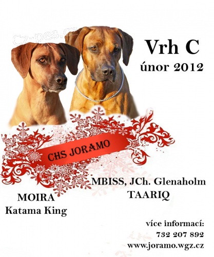 Rhod�sk� ridgeback - �t���tka s PP