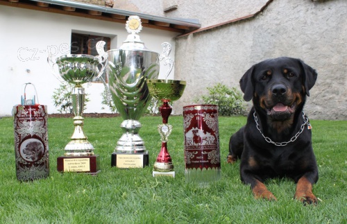 �t���tka Rotvajlera