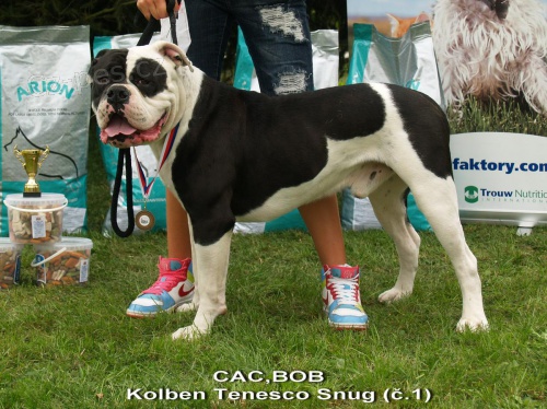 Nab�z�m ke kryt�...