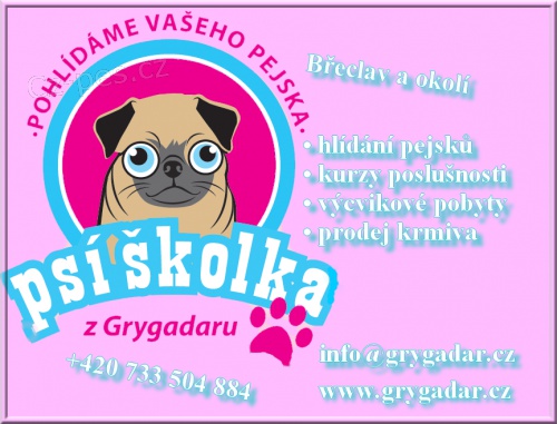 Ps� �kolka z Grygadaru kurzy poslu�nosti v B�eclavi