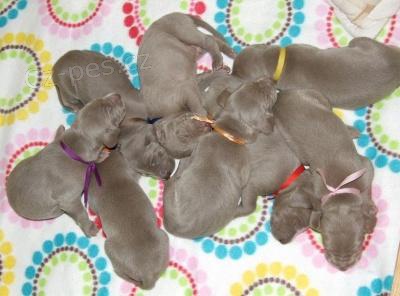 �t���tka V�MARSK�HO OHA�E