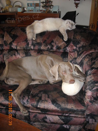 Prod�m �t�n� V�marsk�ho oha�e