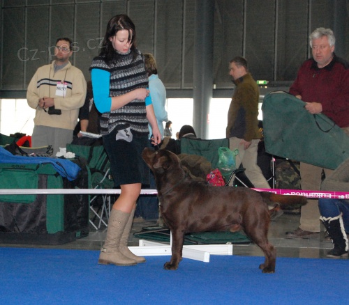 Kr�sn� �okol�dov� LR ke kryt�-