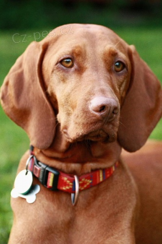 Prod�m �t���tka MOK