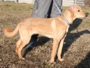 Fene�ka Saly �ek� na nov�ho p�ne�ka