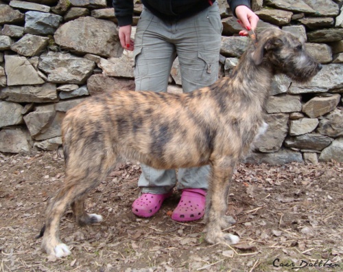 �t��ata s PP za rozumnou cenu