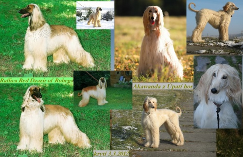 bereme z�znamy na �t���tka