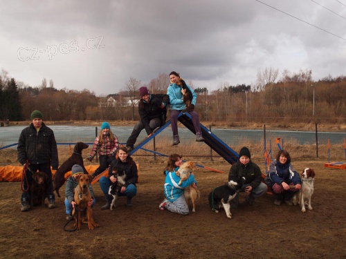 Letn� v�cvikov� t�bor pro d�ti a ml�de� se psy