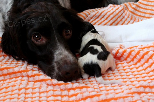 Prod�m �t��ata MMO