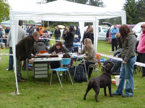 KRAJSK� V�STAVA PS� Hradec Kr�lov� 16. 6. 2012