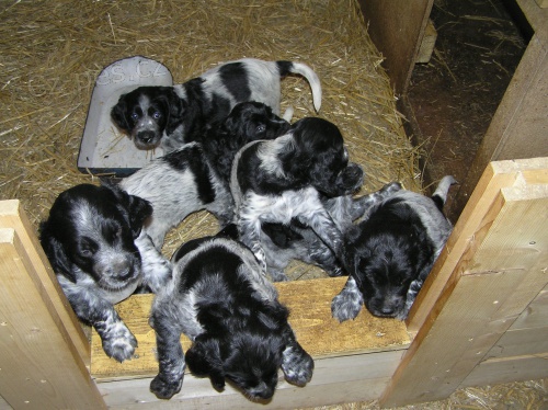 Prod�m �t��ata