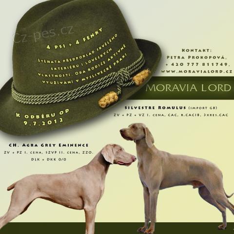 �T���TKA V�MARSK�HO OHA�E