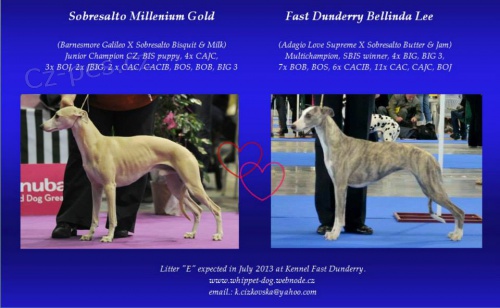 �T���TKA VIPETA  15.7.2013