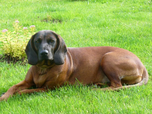 Prod�m �t��ata BB