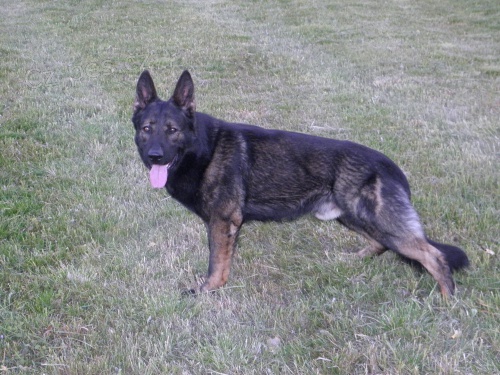 Largo z Blatensk�ho z�mku