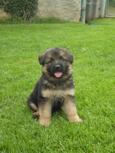 Prod�m �t��ata NO s PP