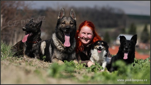 Pozitivn� motivace