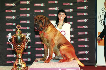 Tosa inu-�t���tka s PP