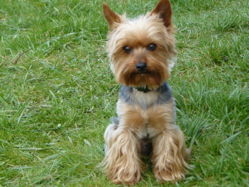 Nab�z�m ZDARMA kryt�