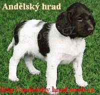 Mal� m�sterlandsk� oha� � �t��ata s PP