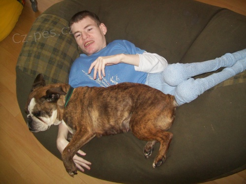 Zkou�ky z canisterapie