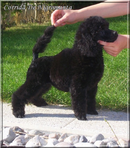 Pudl st�edn� �ern�