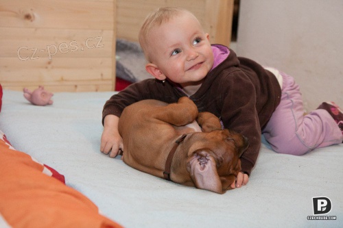 Kr�sn� �t���tka RIDGEBACKA s PP