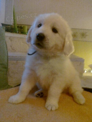 �t�n� Slovensk�ho �uva�e