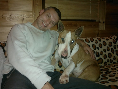 Dvoulet� bul�k s PP