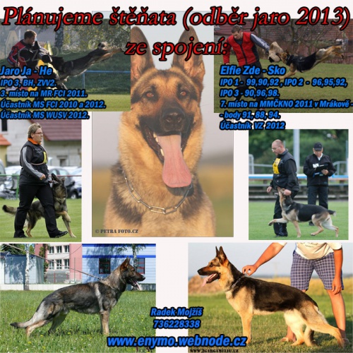 Beru z�znam na �pi�kov� pracovn� vrh NO