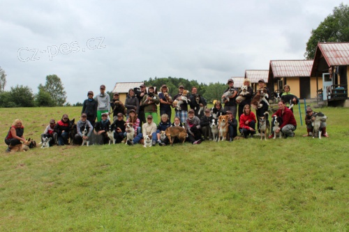 Agility - letn� v�cvikov� t�bor
