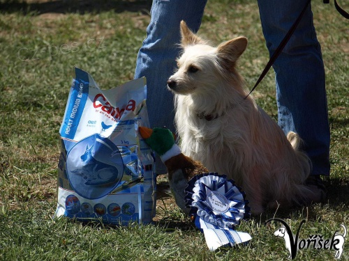 Rosick� vo��ek IV. ro�n�k