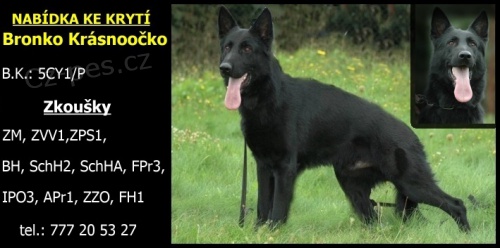 N�meck� ov��k - prod�m �t��ata