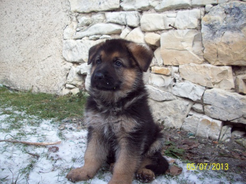 �t��ata NO -odb�r: od 15. �nora