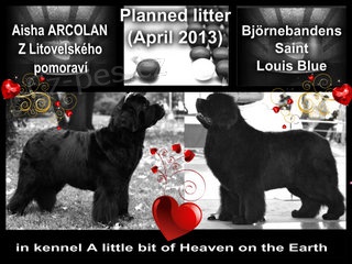 Novofundlandsk� pes- �t���tka