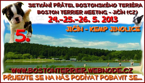 5. ro�n�k Setk�n� p��tel bostonsk�ho teri�ra Ji��n