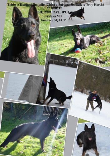 N�meck� ov��k s PP - kryt�