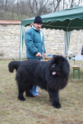 Nab�z�me ke kryt� na�eho Akima 