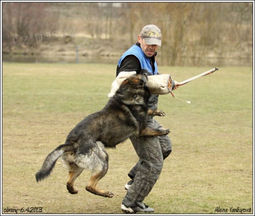 14. ro�n�k z�vodu podle NZ� o putovn� poh�r