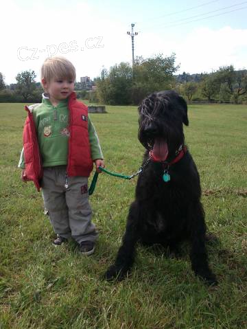 Kn�ra� velk� �ern�. �t���tka s rodokmenem