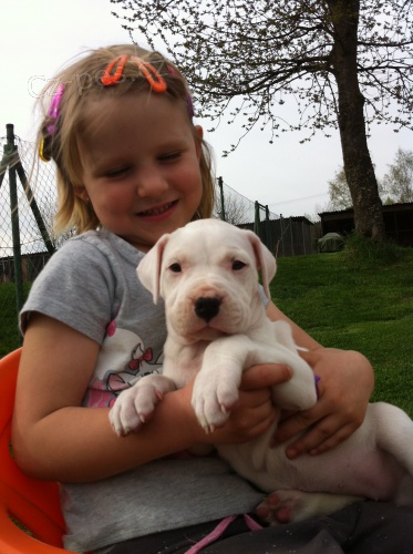 Argentinsk� doga - fenka s PP