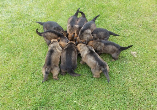 �t��ata NO s PP