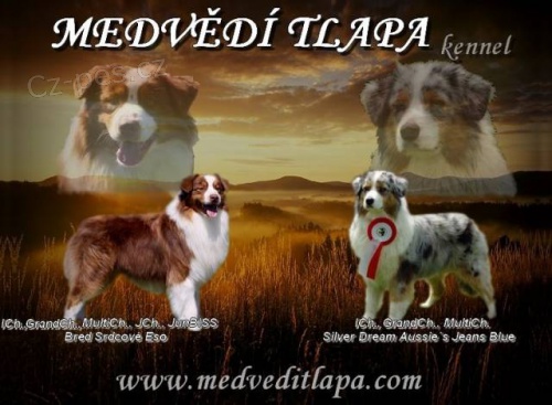 Australsk� ov��k �t��ata s P.P.