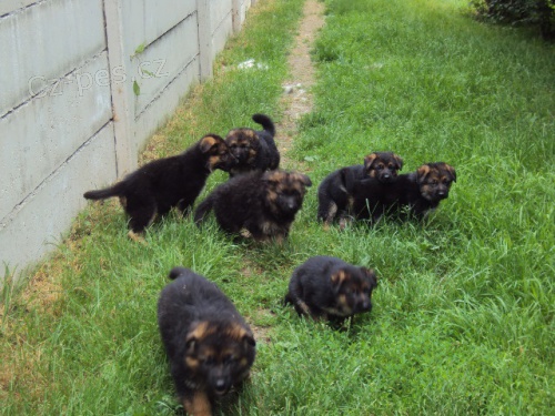 Prod�m �t��ata