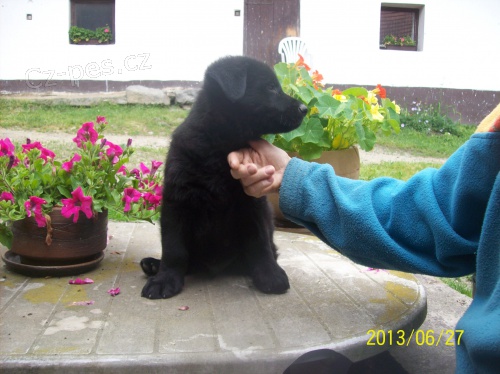 �t��ata NO s PP